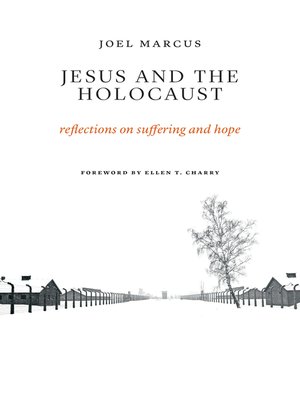 cover image of Jesus and the Holocaust